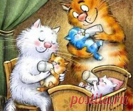 Бывает же такое &#8212; Наш Кот женился &#8230;
