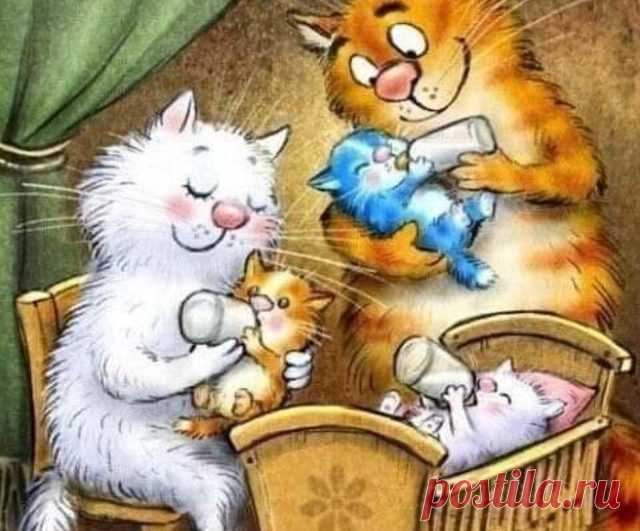 Бывает же такое — Наш Кот женился …