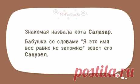 Смешные рассказы и забавные истории из жизни людей на сайте Мир позитива