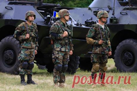 Власти Молдавии направили спецназ в протестующую Гагаузию. Спецназ полиции Молдавии направили в административный центр Гагаузии Комрат, где проходят антиправительственные протесты. Сообщается, что власти поручили бригаде Fulger провести антитеррористические учения, в рамках которых спецназ отразит атаку условных террористов на один из корпусов Комратского университета.