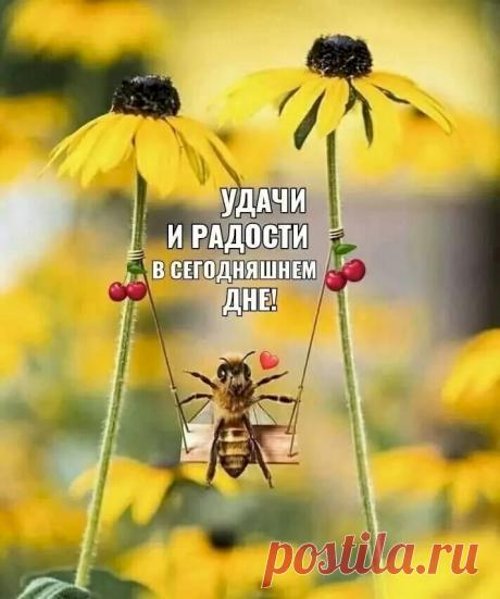 Выпуск №4220 - выпуск анекдотов сайта вокруг смеха