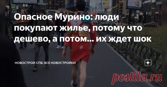 Опасное Мурино: люди покупают жилье, потому что дешево, а потом... их ждет шок Жила-была девушка, и решила она обзавестись собственным жильем. Для начала сойдет и Мурино, очень уж цена выгодная... 
Так думают многие, не зря локация перенаселена уже сейчас. 
Однако важно сразу отдавать себе отчет в том, что вас ждет после заселения: испорченные вандалами...