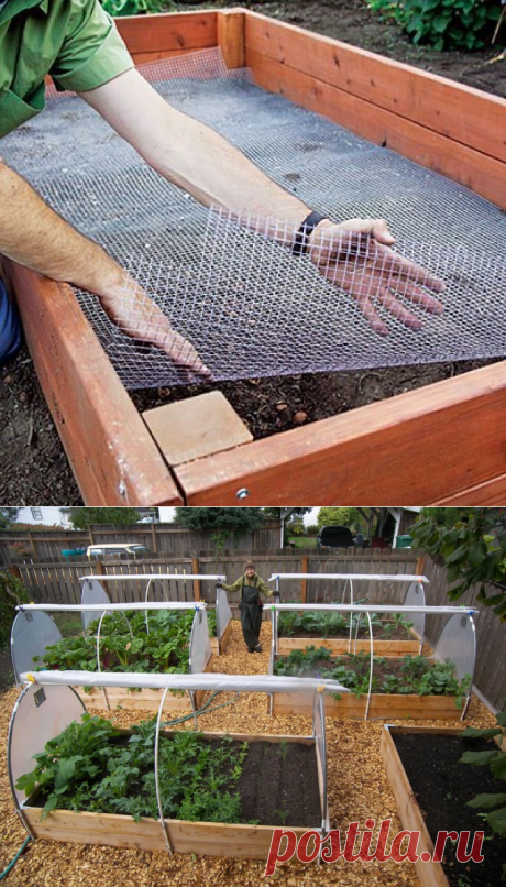 Идеи оформления грядок-коробов — 6 соток