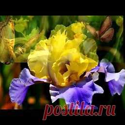 Интересные новости