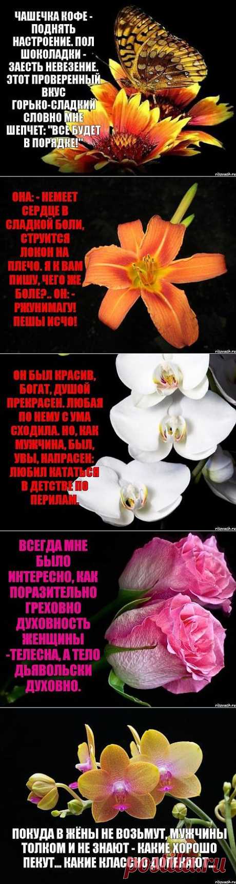Забавные стишки на красивом фоне.