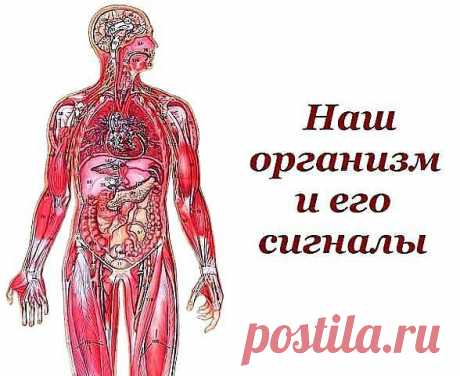 СИГНАЛЫ ОРГАНИЗМА !!! **Губы трескаются, На языке белый налёт,  Во рту сухость, Запах изо рта, Кожа шелушится, Веки припухлые, Глаза - болезненная чувствительность к яркому свету, Лимфатические узлы увеличены, Моча тёмная, Из носа частые кровотечения,  Потливость повышена, Раны заживают медленно, На ногтях - поперечная одна бороздка, Продольные бороздки, Цвет белков глаз, синяки и темные круги под глазами,  Прыщи и угри на лице и спине, Отёки утром.