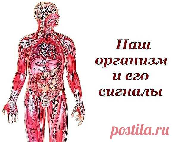 СИГНАЛЫ ОРГАНИЗМА !!! **Губы трескаются, На языке белый налёт,  Во рту сухость, Запах изо рта, Кожа шелушится, Веки припухлые, Глаза - болезненная чувствительность к яркому свету, Лимфатические узлы увеличены, Моча тёмная, Из носа частые кровотечения,  Потливость повышена, Раны заживают медленно, На ногтях - поперечная одна бороздка, Продольные бороздки, Цвет белков глаз, синяки и темные круги под глазами,  Прыщи и угри на лице и спине, Отёки утром.