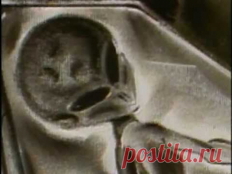 Вся правда об НЛО: Дневники НЛО (часть 1) - YouTube