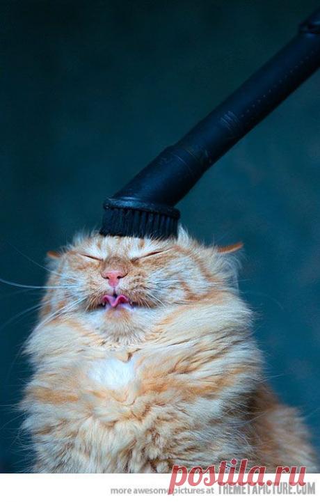 Найдено на сайте themetapicture.com.