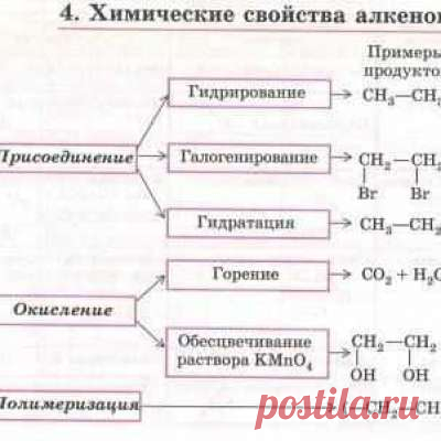 Учитель химии!