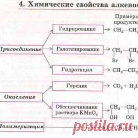 Учитель химии!