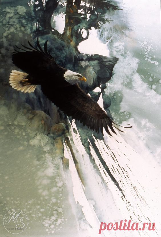 Мортен художник анималист