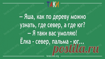 15 удачных открыток с еврейским юмором Ответы на самые сложные вопросы находятся у нас под носом. Надо только подойти к этому с юмором.