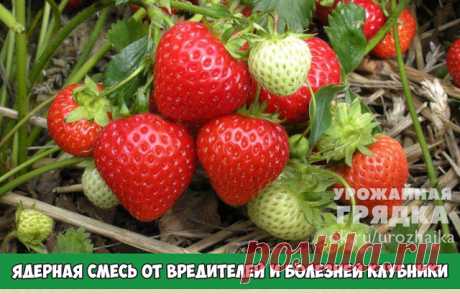 Комментарии к теме