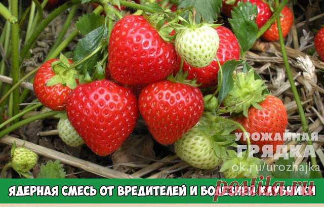 Комментарии к теме