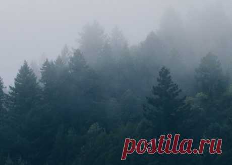 Почти 1 000 лучших обоев для iPhone и Android-смартфонов - Лайфхакер