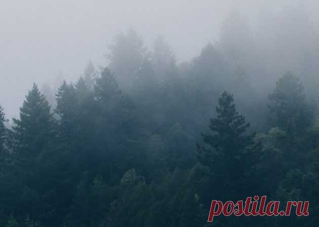 Почти 1 000 лучших обоев для iPhone и Android-смартфонов - Лайфхакер