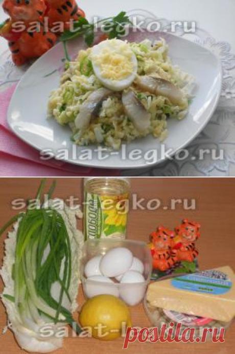 Салат с сельдью, пекинской капустой и сыром
