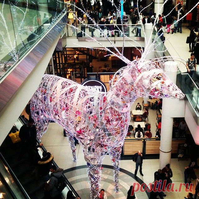 Happy boxing day #EatonCentre #Toronto