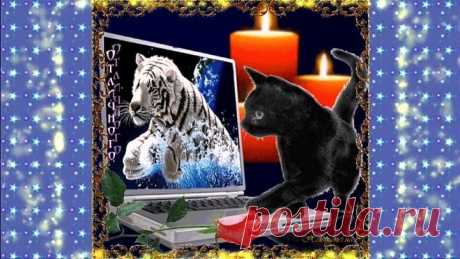 ДОБРОГО ВЕЧЕРА!