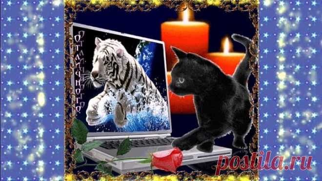 ДОБРОГО ВЕЧЕРА!