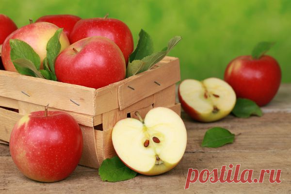 Как сохранить яблоки до весны / Дачные советы / 7dach.ru