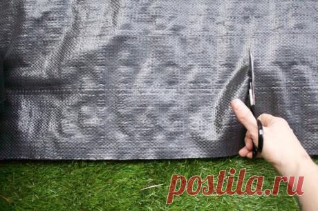 Стеллаж для рассады своими руками: как сделать полки для выращивания рассады на подоконнике или балконе