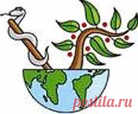 Индивидуализация лечения фитотерапией