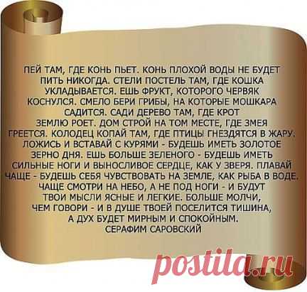 (1) Одноклассники