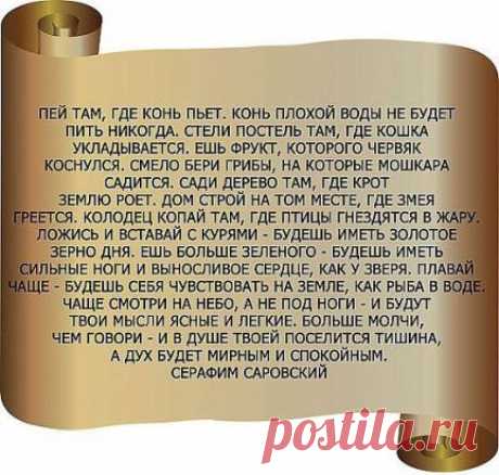 (1) Одноклассники