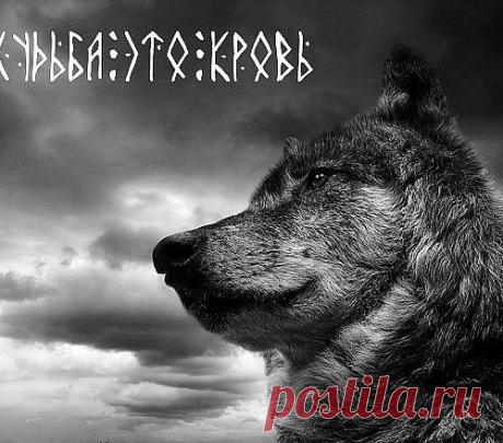 Генетики поставили шах и мат русофобам — Русские – один из самых чистокровных народов в Евразии.