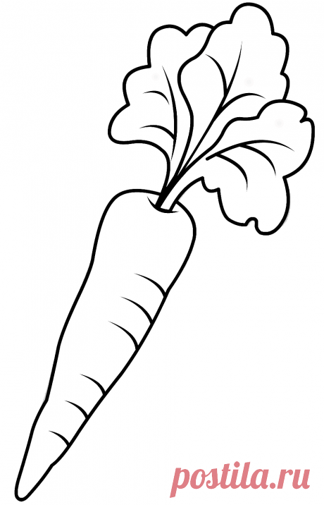 Раскраски моркови (морковки) скачать или распечатать