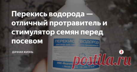 Перекись водорода — отличный протравитель и стимулятор семян перед посевом Все мы применяем в быту перекись водорода. Практически это средство есть у каждого в домашней аптечке, потому что оно считается отличным антисептиком. Так почему же перекись водорода не применить в качестве протравителя семенного материала? Оно очень эффективно, хорошо борется с бактериями на поверхности семян. При этом стоит дешево.