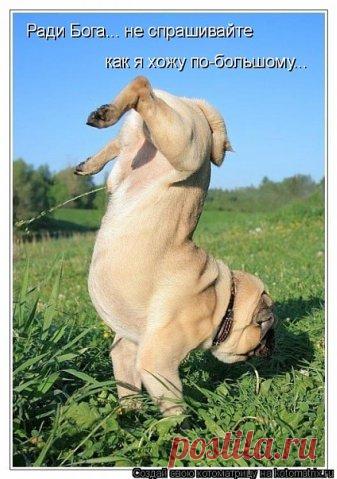 МУП Североморские Теплосети