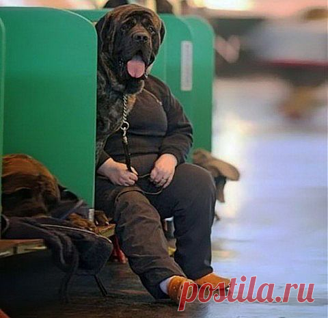 Фото-мгновение... | Уши, лапы, хвост