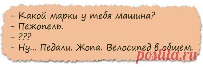 Веселые анекдоты про секретарш и не только - Ok'ейно.fun