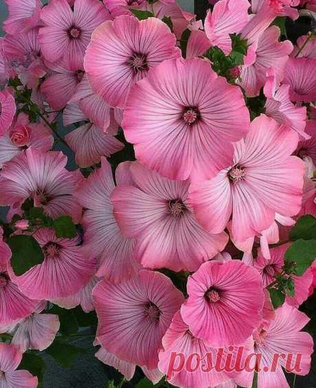 Pritha Chakraborty - Google+