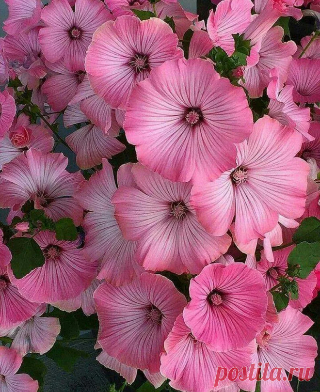 Pritha Chakraborty - Google+