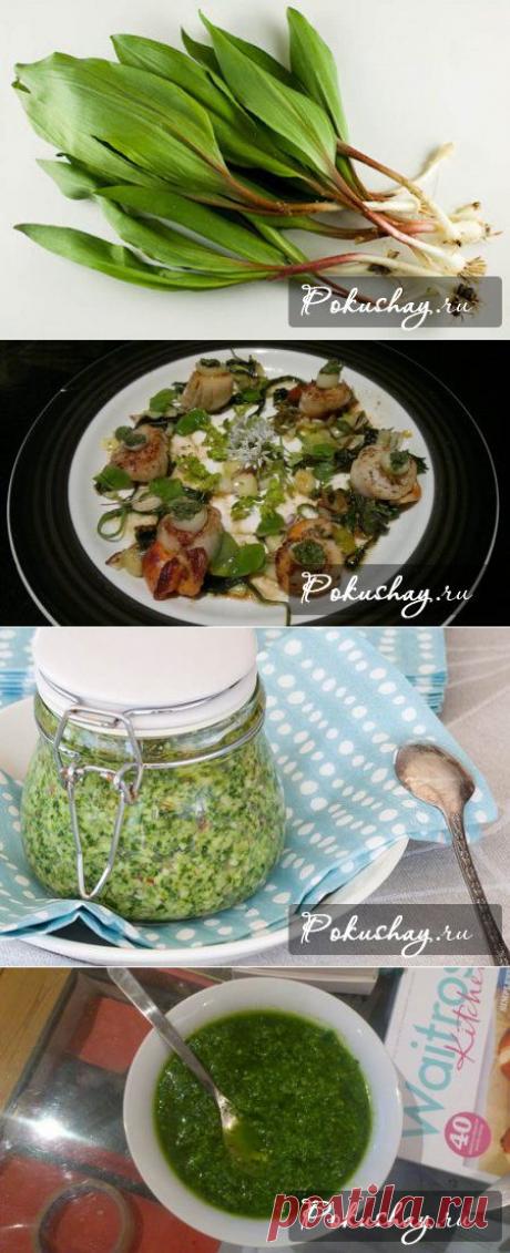 Черемша: рецепты приготовления / рецепт с фото