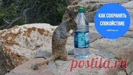 Как сохранять спокойствие в любой ситуации: 14 лучших стратегий