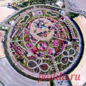 Парк в Дубае | Мир Женщины/Крупнейший цветочный сад в мире (Dubai Miracle Garden) площадью 72 тысячи кв.метров расположен в Дубае в районе Dubailand. Он обладает уникальной коллекцией цветов. Всего в парке высажено 45 миллионов цветов шестидесяти окрасок.