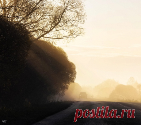 Туманное утро где-то в Великом Новгороде. Снимал Александр Парамонов: nat-geo.ru/community/user/196781/ Солнечного дня!