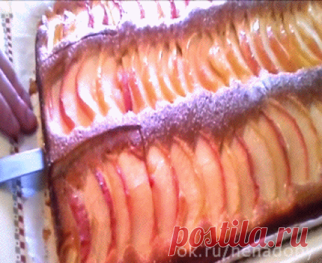 "ЯБЛОЧНАЯ ЖИЗЕЛЬ"