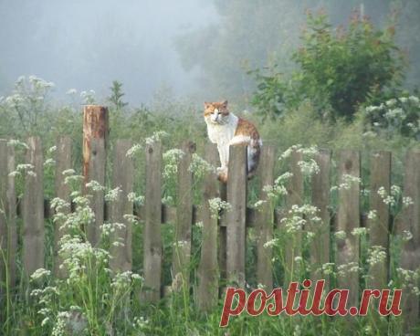 Думайте о прошлом лишь тогда, когда оно будит одни приятные воспоминания...
© Джейн Остин, "Гордость и предубеждение"