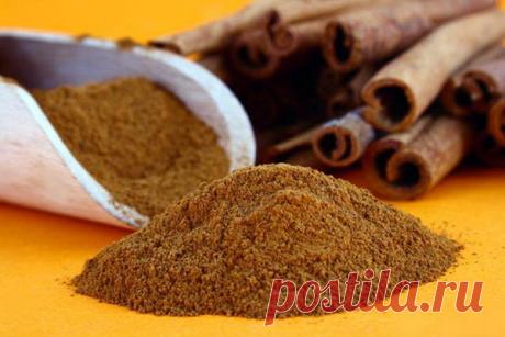 О вкусе и свойствах корицы / Домоседы