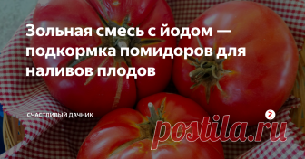 Зольная смесь с йодом — подкормка помидоров для наливов плодов Подкармливаю я томаты через каждые 2 недели. В момент образования завязей использую особенную подкормку, с большим содержанием калия, для налива плодов.
А где же можно взять калий? Безусловно, в золе.