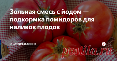 Зольная смесь с йодом — подкормка помидоров для наливов плодов Подкармливаю я томаты через каждые 2 недели. В момент образования завязей использую особенную подкормку, с большим содержанием калия, для налива плодов.
А где же можно взять калий? Безусловно, в золе.