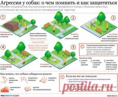Фотографии на стене сообщества | 10 321 фотография | ВКонтакте