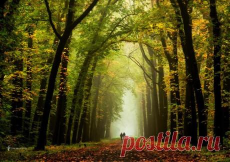 24 самых популярных снимков фотосообщества 500px последней недели 2016 года