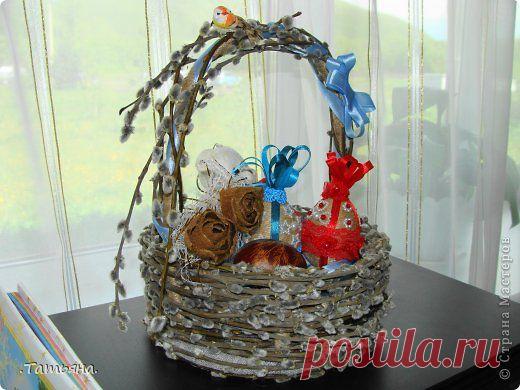 Верба или ива, лечебные свойства. | Советы Народной Мудрости